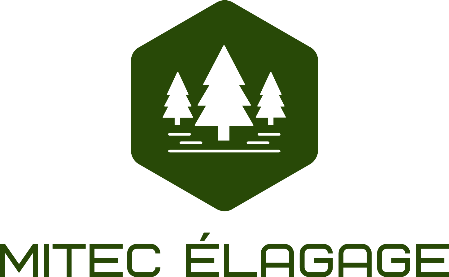 logo_complet
